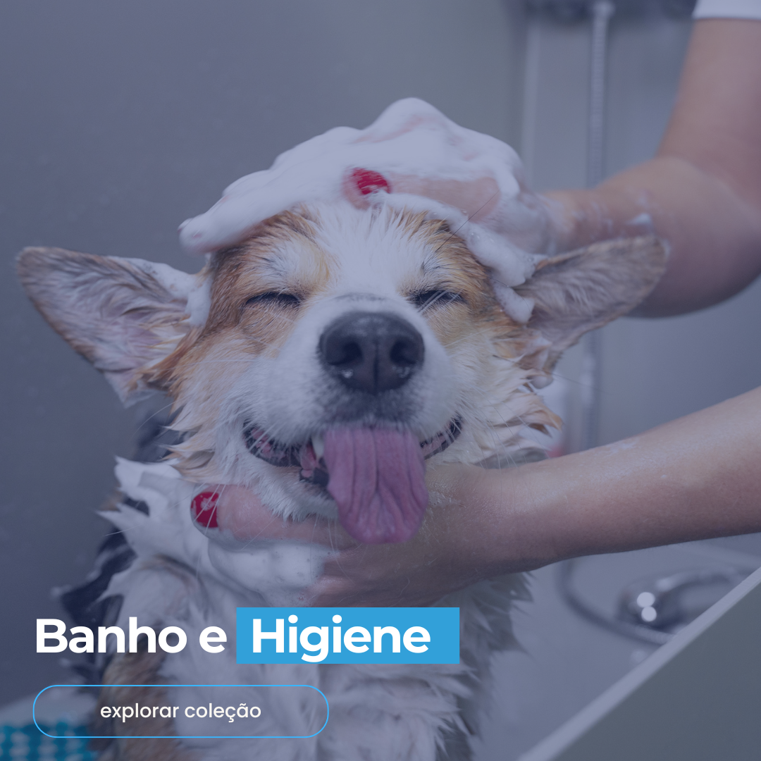 Banho, Higiene e Limpeza