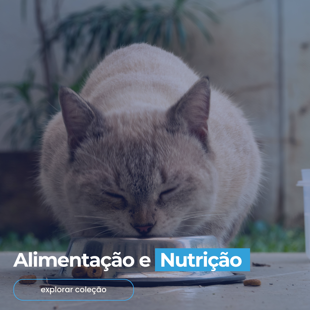 Alimentação e Nutrição