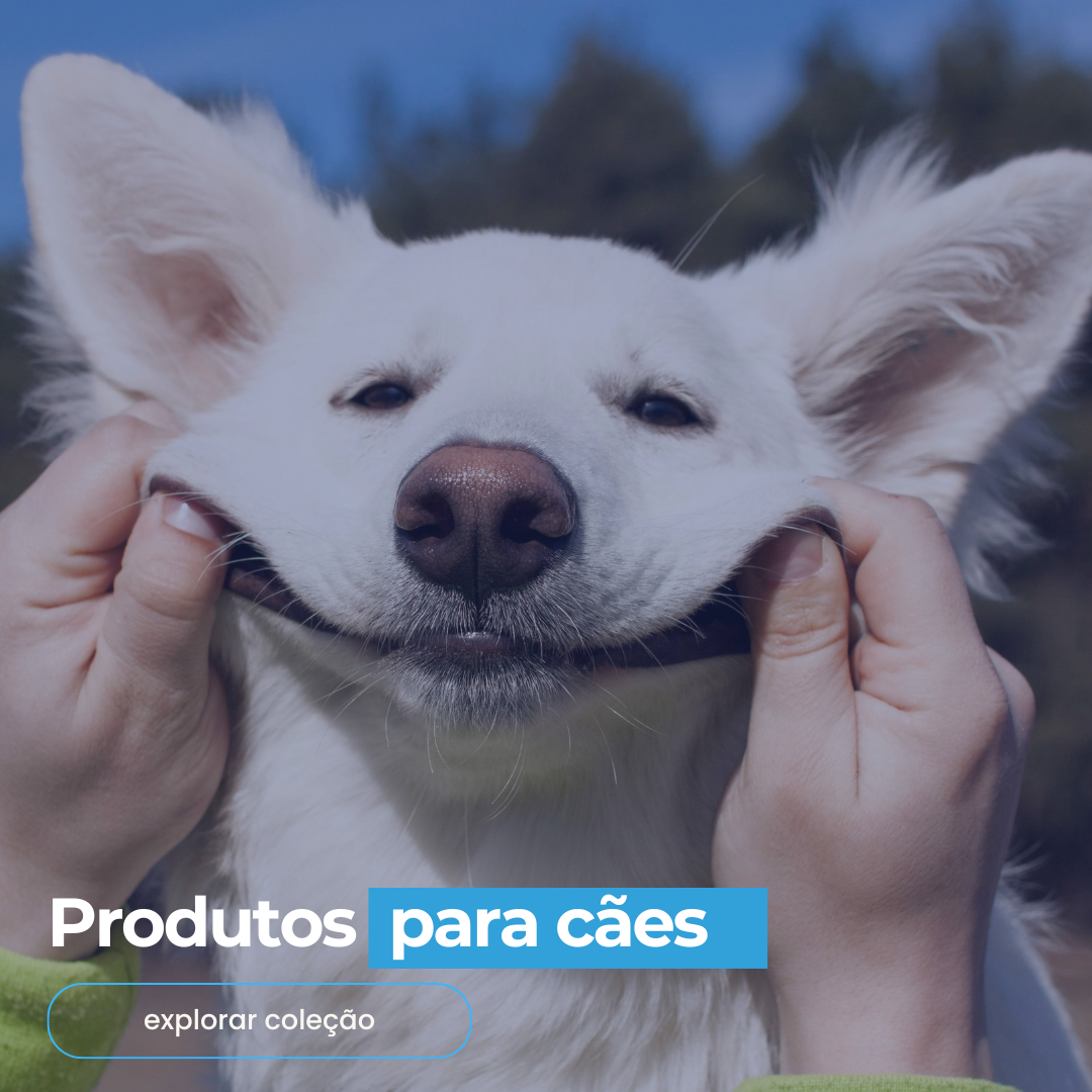Produtos para Cães