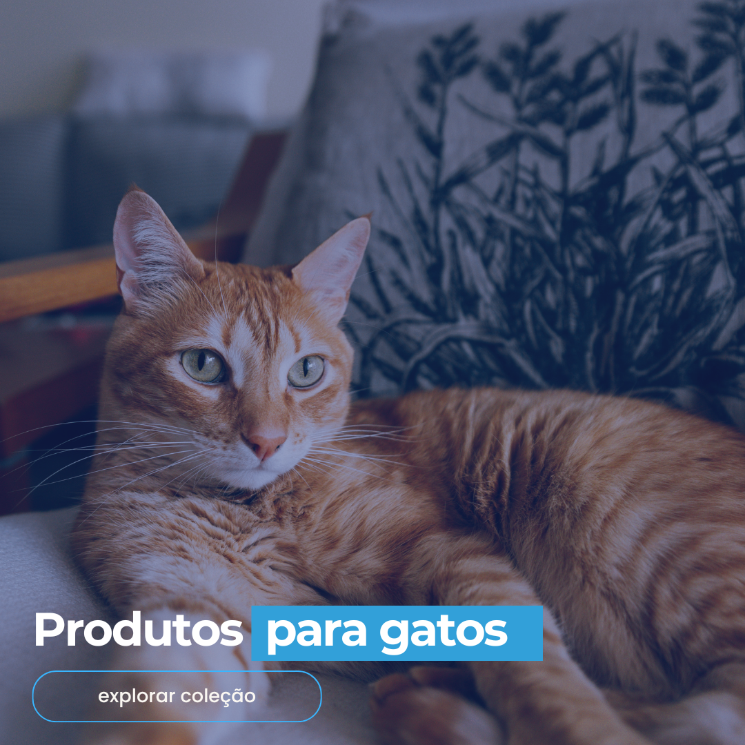 Produtos para Gatos